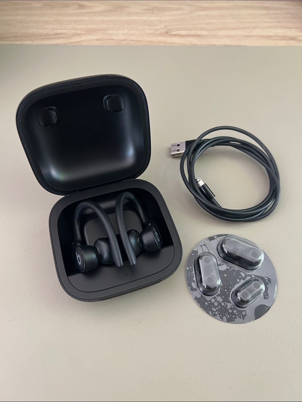 Beats by Dre Powerbeats Pro Wireless Earbuds in Black